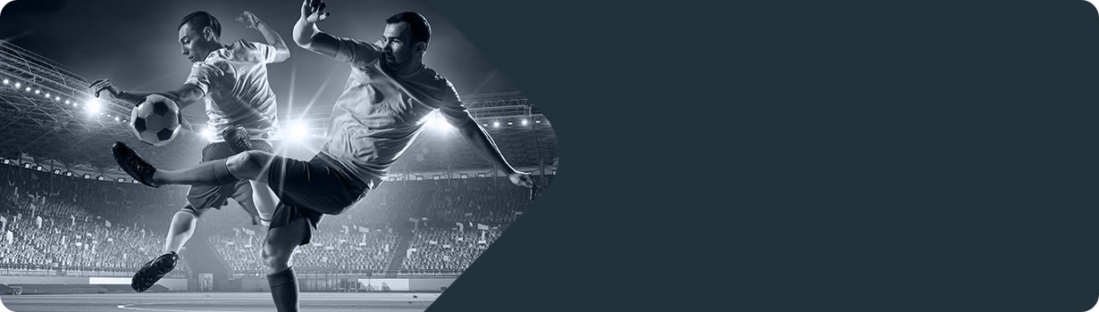 sudoku variants and types
